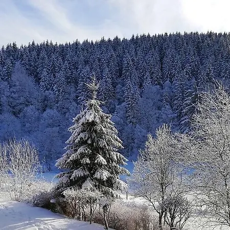 Apartment Buere Blick Mit Wellnessbereich Direkt Im Skigebiet Winterberg, Ski, Bike, Golf Winterberg