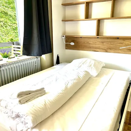 Buere Blick Mit Wellnessbereich Direkt Im Skigebiet Winterberg, Ski, Bike, Golf Apartment Winterberg