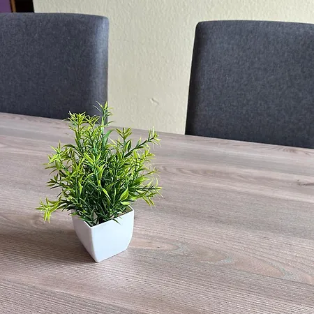 Buere Blick Mit Wellnessbereich Direkt Im Skigebiet Winterberg, Ski, Bike, Golf *