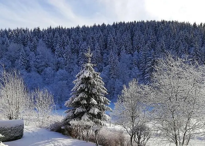 شقة Buere Blick Mit Pool & Sauna Direkt Im Skigebiet Winterberg, Ski, Bike, Golf وينتربرغ