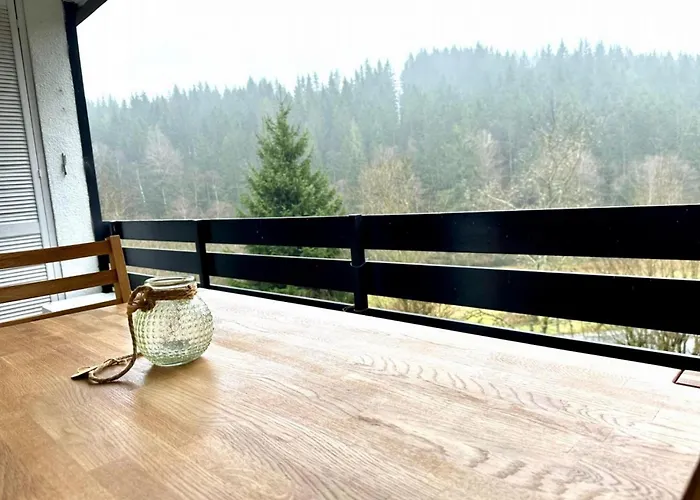 Apartment Buere Blick Mit Pool & Sauna Direkt Im Skigebiet Winterberg, Ski, Bike, Golf *